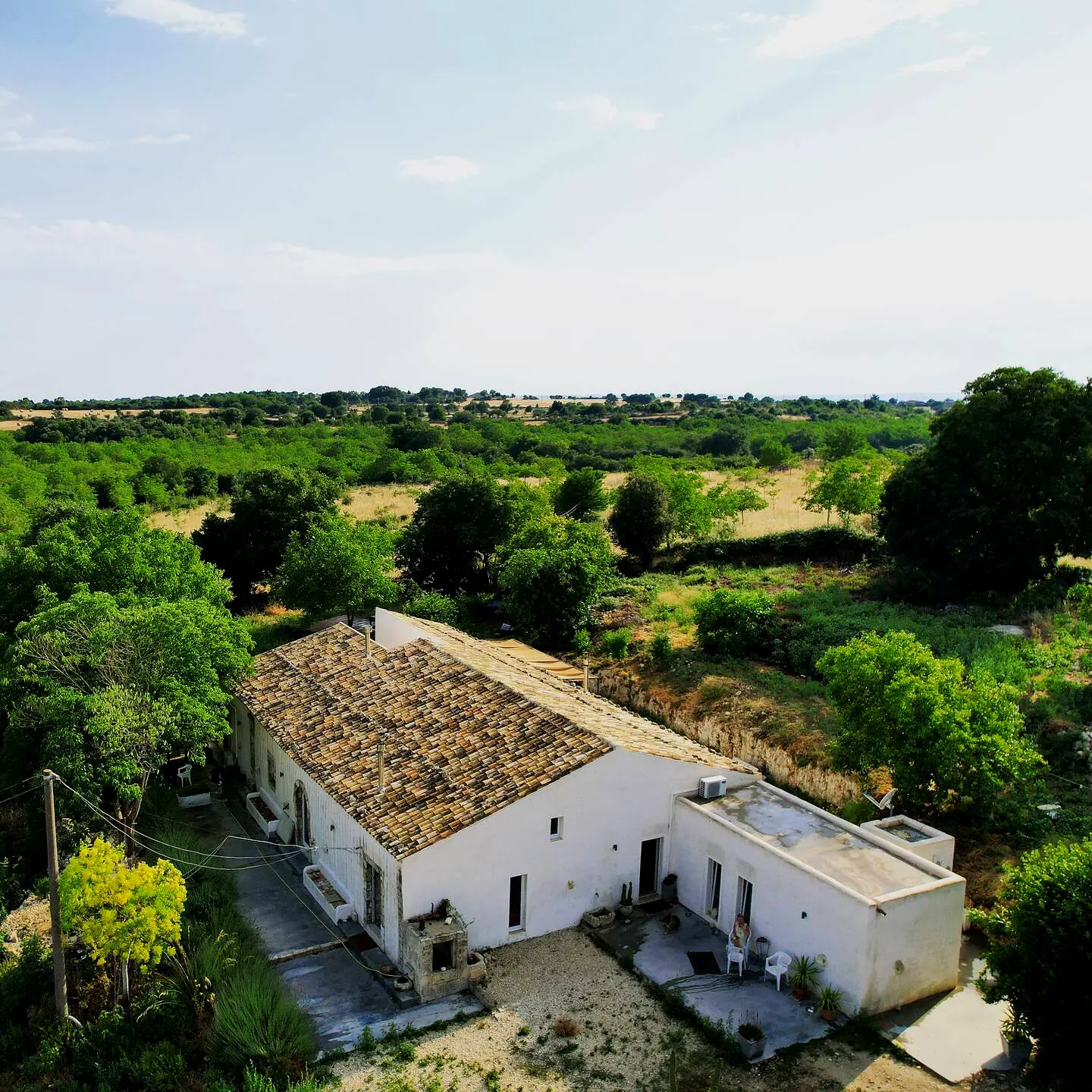 The farmhouse seen from above, its long tiled roof among olive and carob trees in the Sicilian countryside