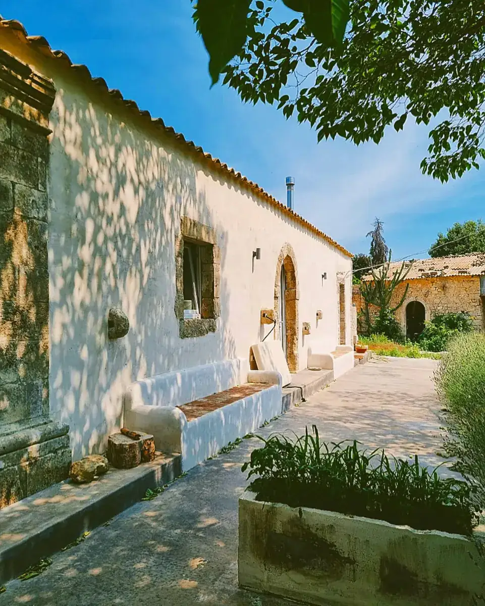 Dappled shade falling across the old stone wall of the house, with herbs growing in a stone trough