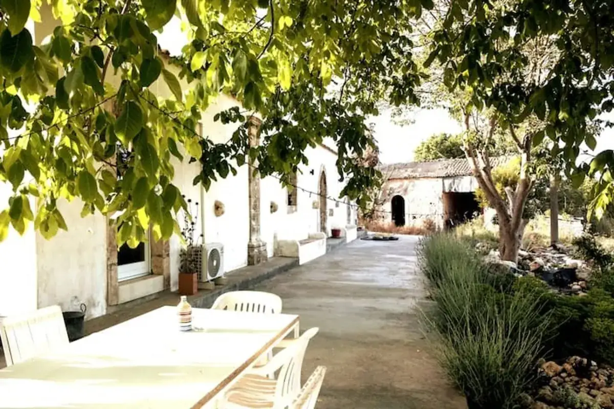 The shaded terrace beside the house with a long table and chairs under the trees